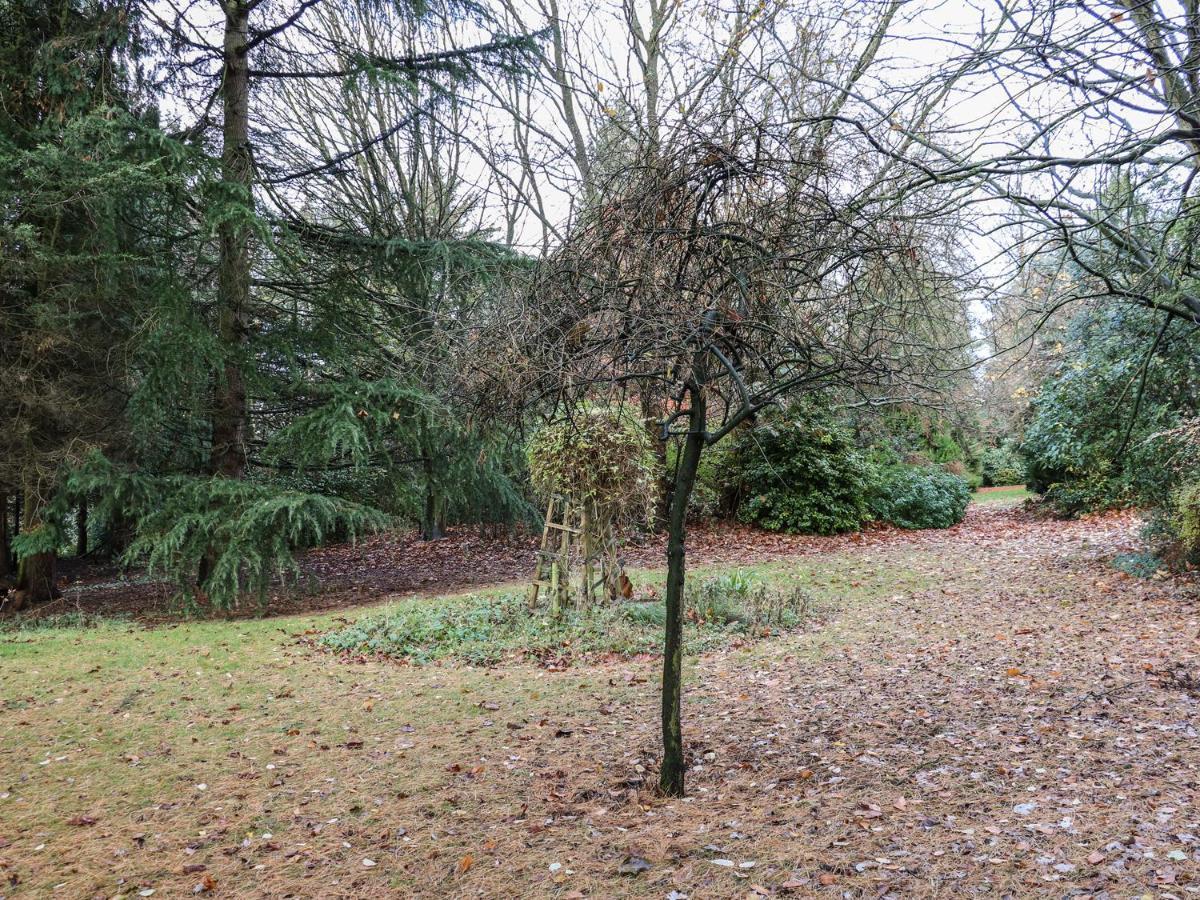 The Annex At 60 Rectory Lane Βίλα Poringland Εξωτερικό φωτογραφία